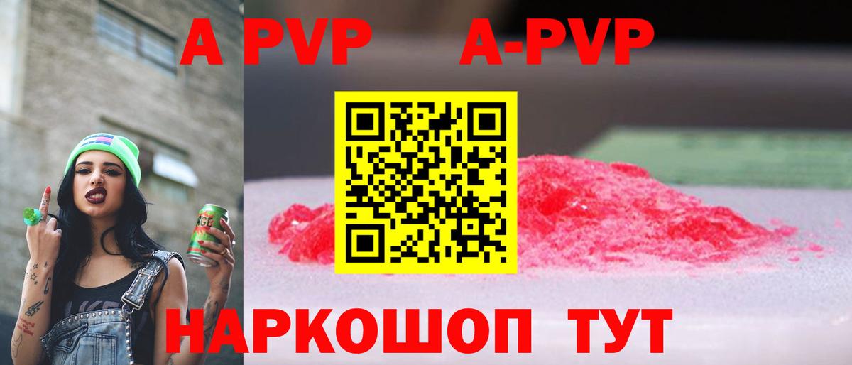 Альфа ПВП СК КРИС Кызыл