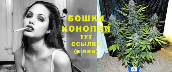 спайс Магас