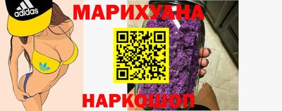 сатива Камышлов