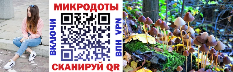 Псилоцибиновые грибы Psilocybe  Кызыл 