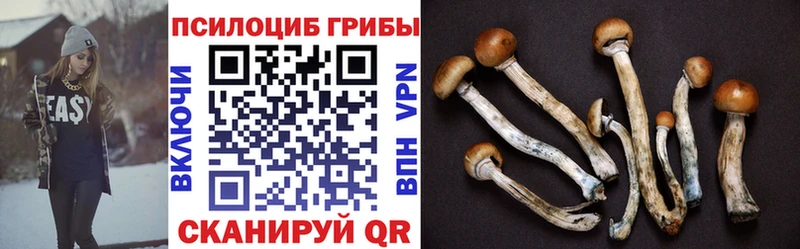 Псилоцибиновые грибы Magic Shrooms Кызыл
