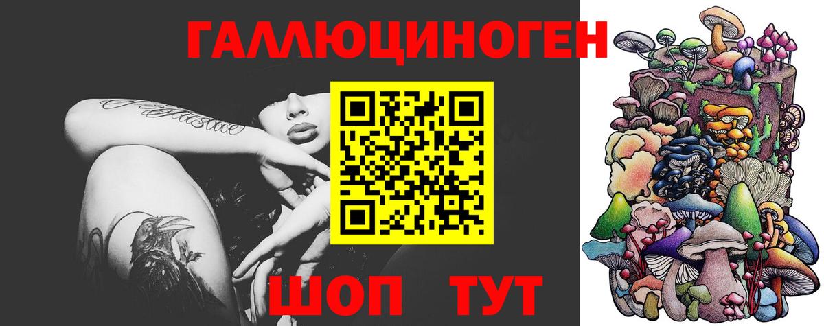 Галлюциногенные грибы мухоморы Кызыл