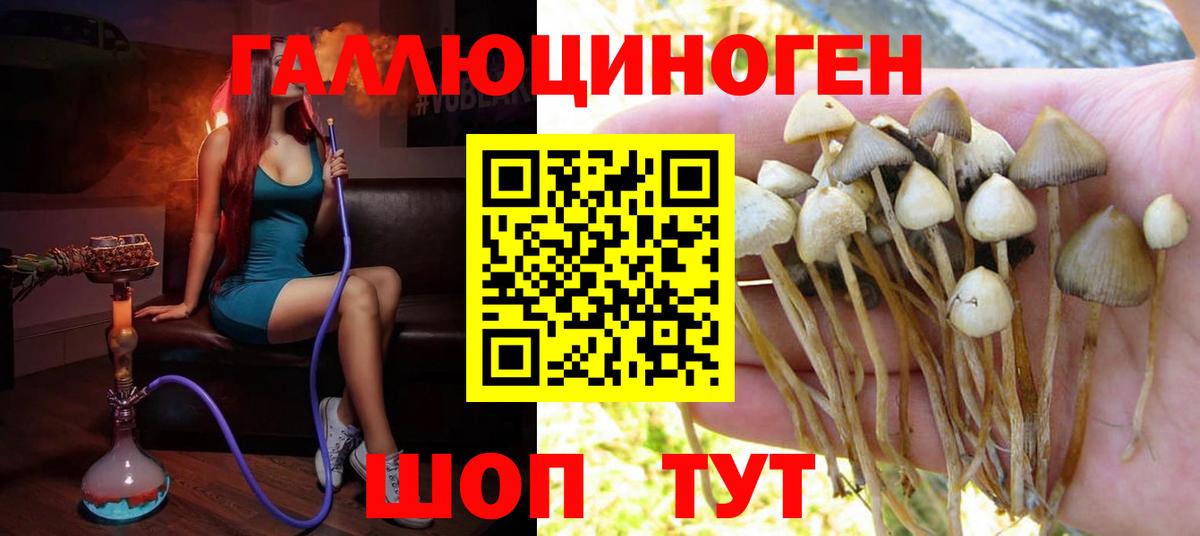Кызыл  Псилоцибиновые грибы мицелий  Галлюциногенные грибы Magic Shrooms  Вход с VPN 